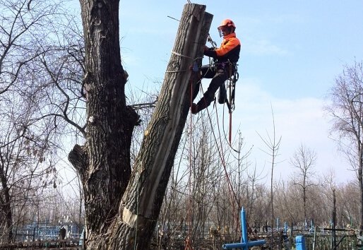 Удаление подпиленного ствола на кладбище Кудинцево Курской области